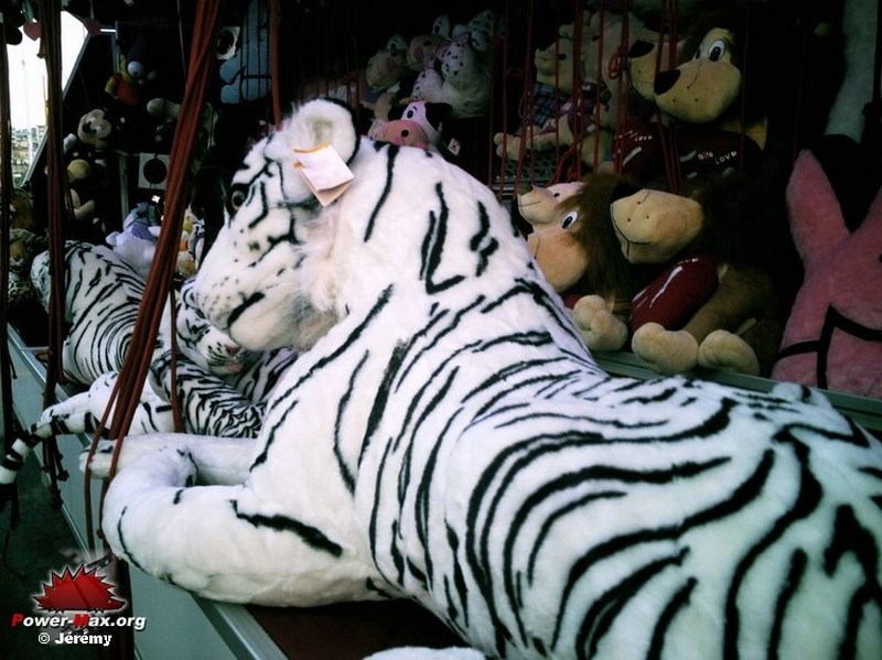 Cannes-hiver-2007-96