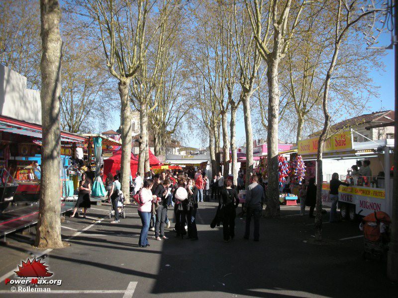 Auch-2008-29