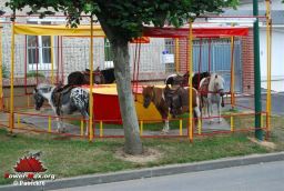 Criquetot-2008-11