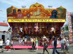 Tilburg-Pays-Bas-2008-200