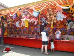 Tilburg-Pays-Bas-2008-204