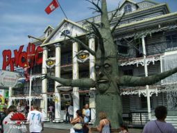 Tilburg-Pays-Bas-2008-256