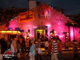 Tilburg-Pays-Bas-2008-296