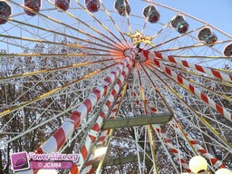 Angers-2009-209