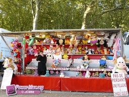 Bordeaux-octobre-2009-209