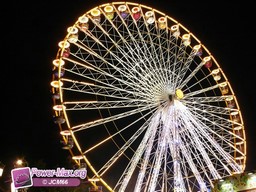 Bordeaux-octobre-2009-230