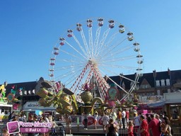 Cambrai-2009-78