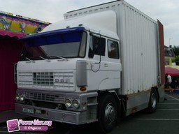 PMIMG-0803