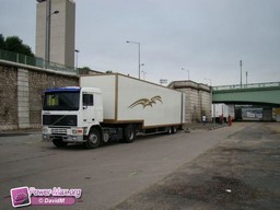 PMDSC08239--