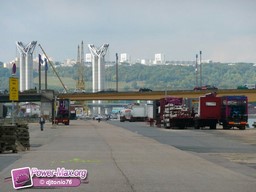PMP1070241