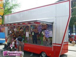 Tilburg-Pays-Bas-2009-276