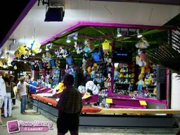 Vias-2009-111