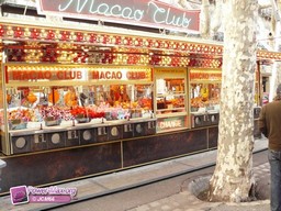 Beziers-2010-26