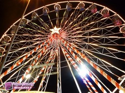 Strasbourg-2010-174