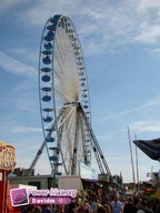 Lille-2011-153