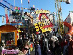 Munster-automne-All-2011-23