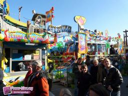 Munster-automne-All-2011-24