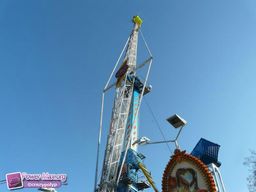 Munster-automne-All-2011-26