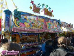 Munster-automne-All-2011-29