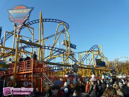 Munster-automne-All-2011-30