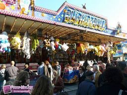 Munster-automne-All-2011-32