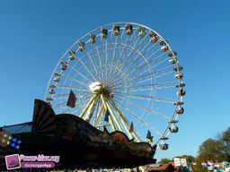 Munster-automne-All-2011-35