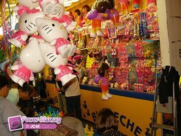 Pamiers-2011-48