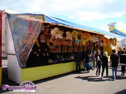 Metz-2012-205