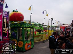 arras-2013-55